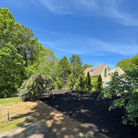 Transforming Overgrown Spaces in Plymouth MA