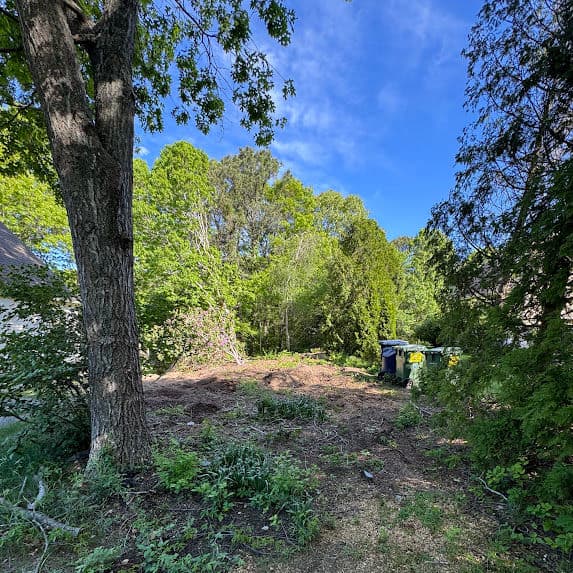 Transforming Overgrown Spaces in Plymouth MA