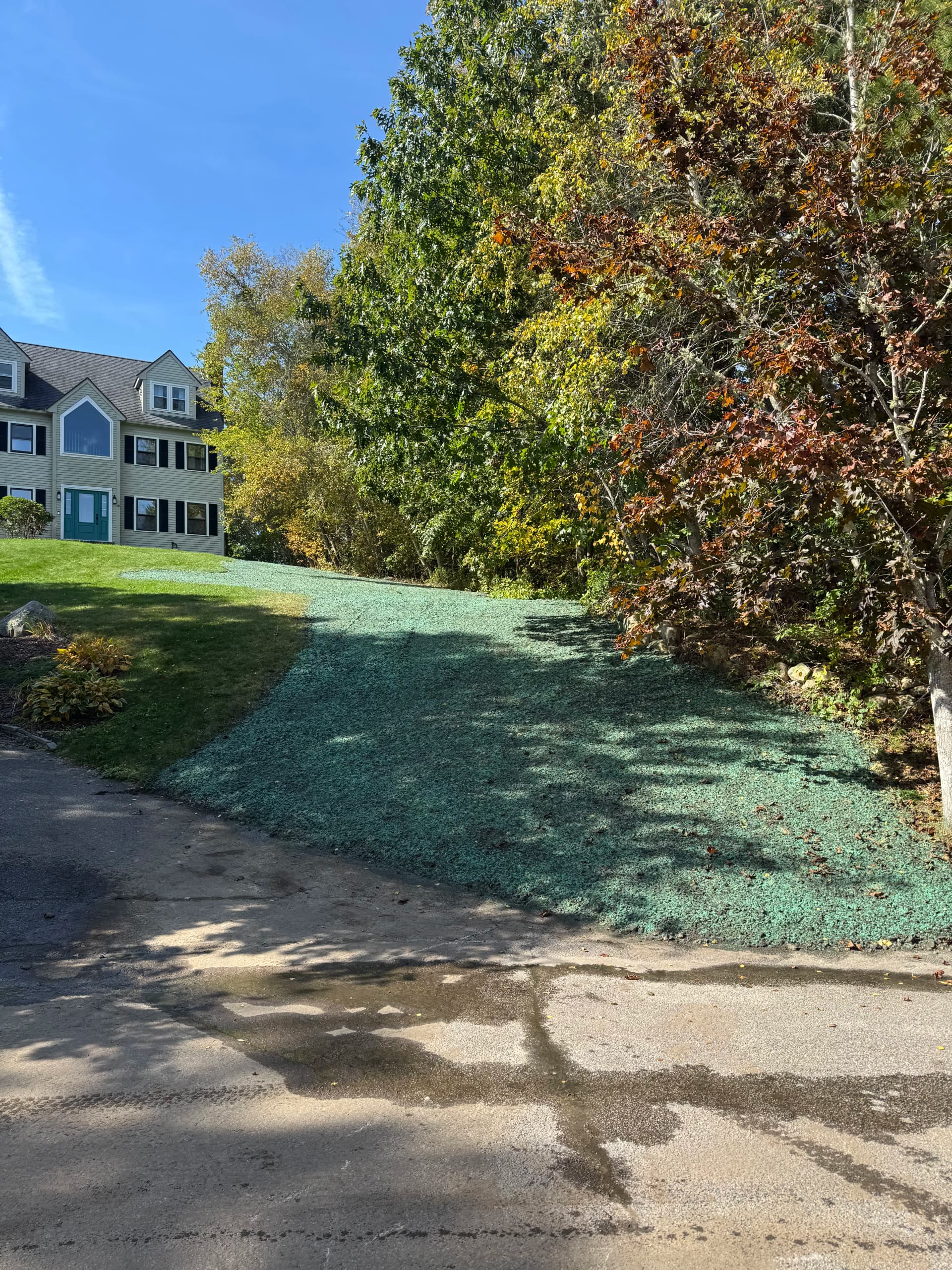 Lawn Restoration Done Right - Regrading, Loam, and Hydroseeding
