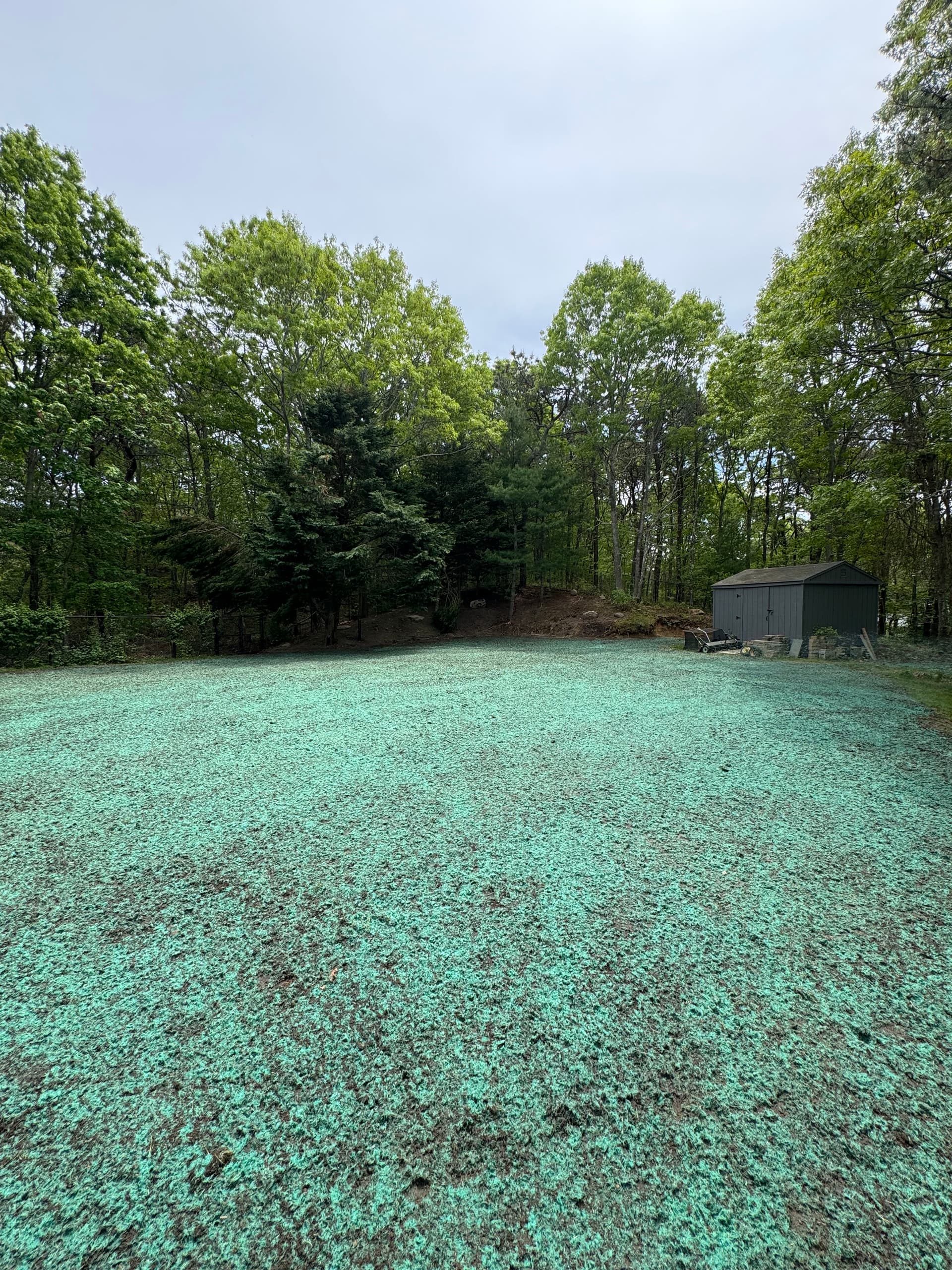 Hydroseeding a Newly Graded Backyard in Plymouth MA
