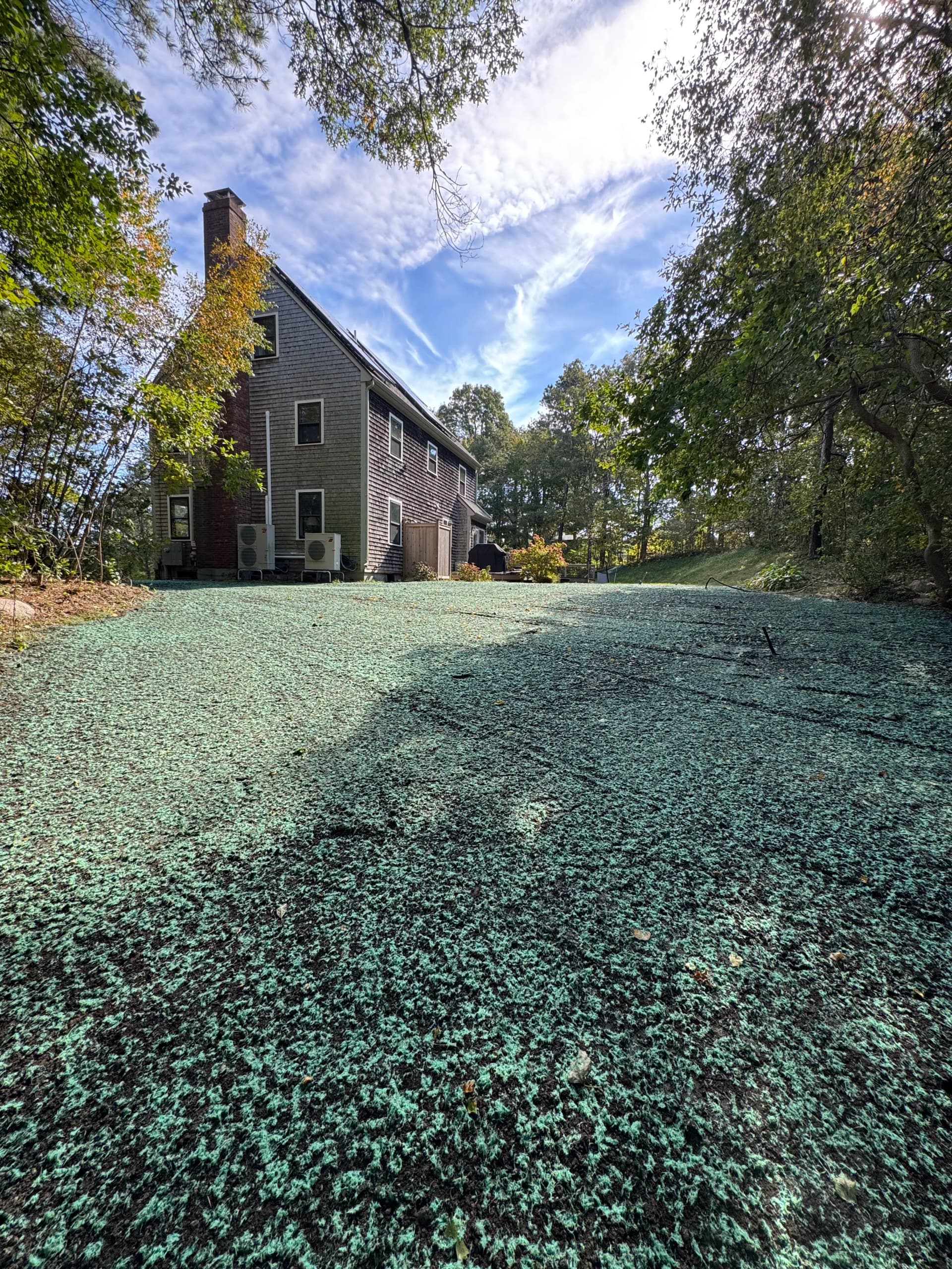 Lawn Restoration Done Right - Regrading, Loam, and Hydroseeding