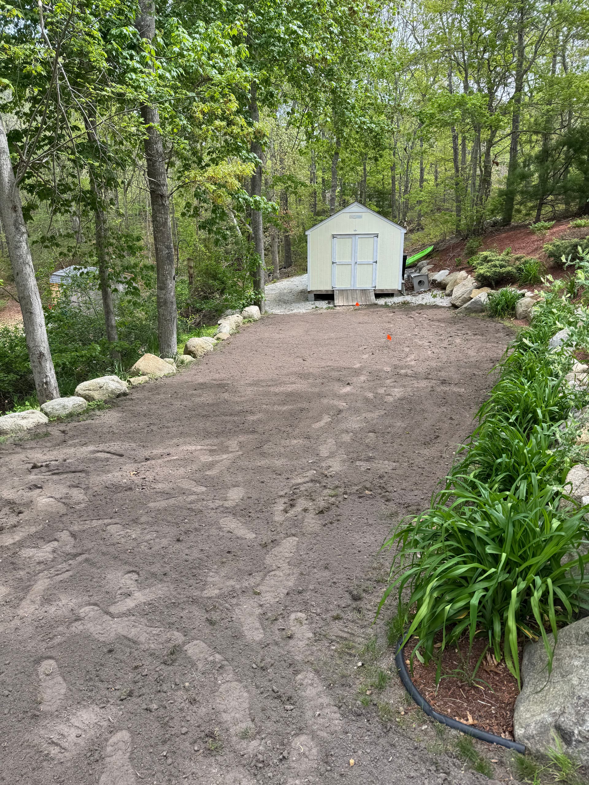 Gallery photos for Power Raking and Hydroseed Lawn Restoration That Actually Works: Image #1