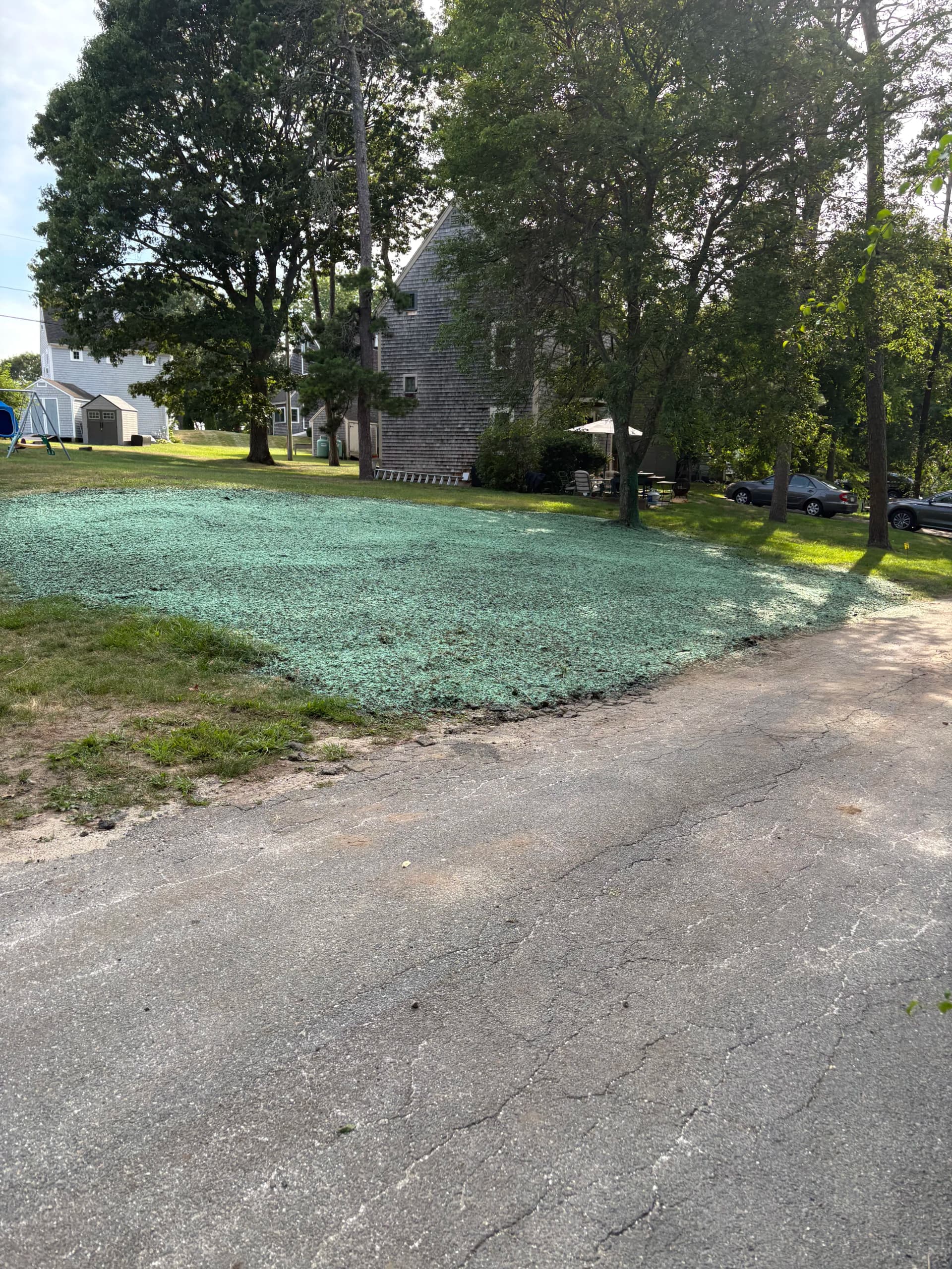 Gallery photos for Bare Ground to Thick Lawn in About 6 Weeks with Hydroseeding: Image #1