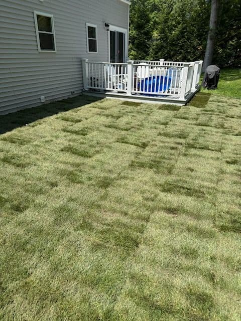 Project Backyard Transformation with Sod and Drainage Solutions image